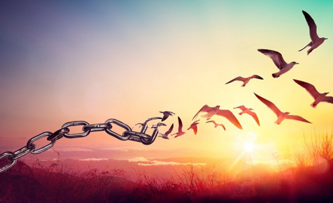 Libertatea, pe scurt