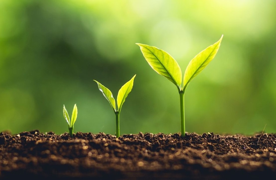 Lasă viaţa să se întâmple (1)