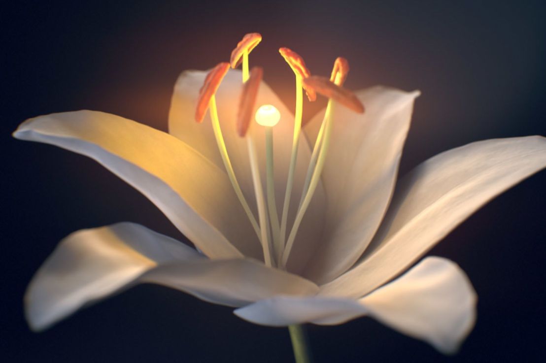 Lasă viaţa să se întâmple (2)