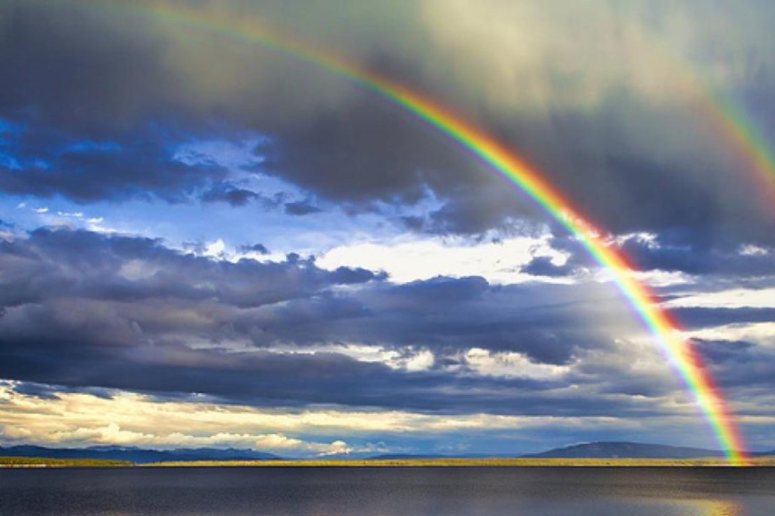 Intuiţie vs. Instinct II