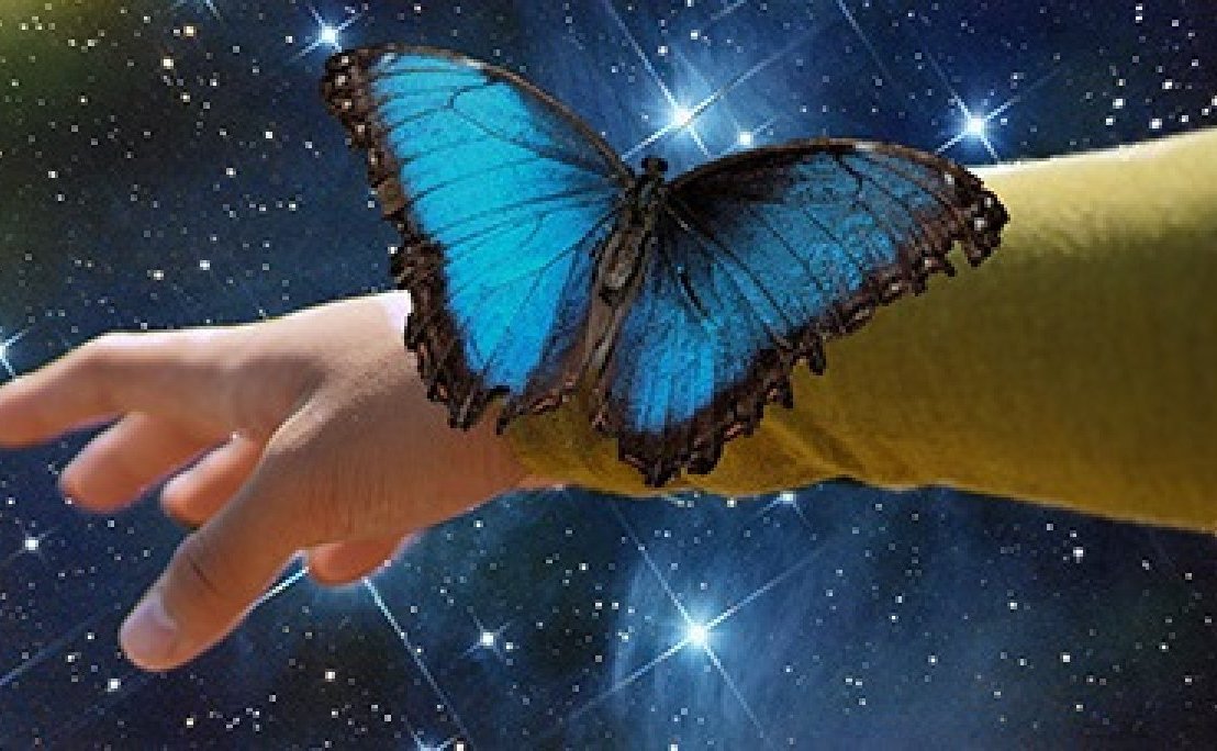 Dacă poţi visa, poţi&nbsp;avea